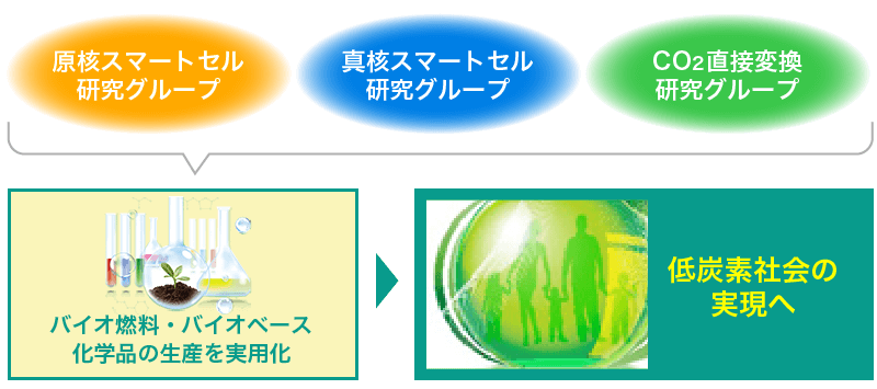 低酸素社会の実現へ