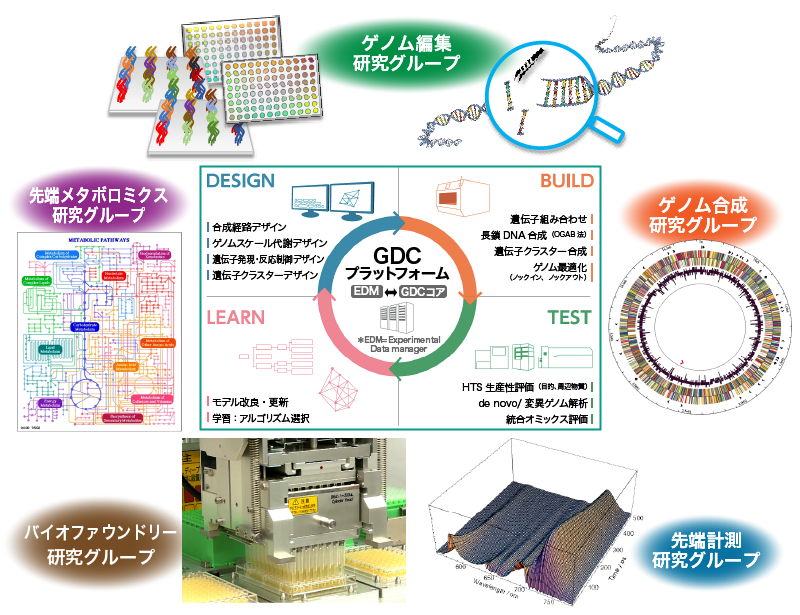 安定した食料生産・健康社会の実現