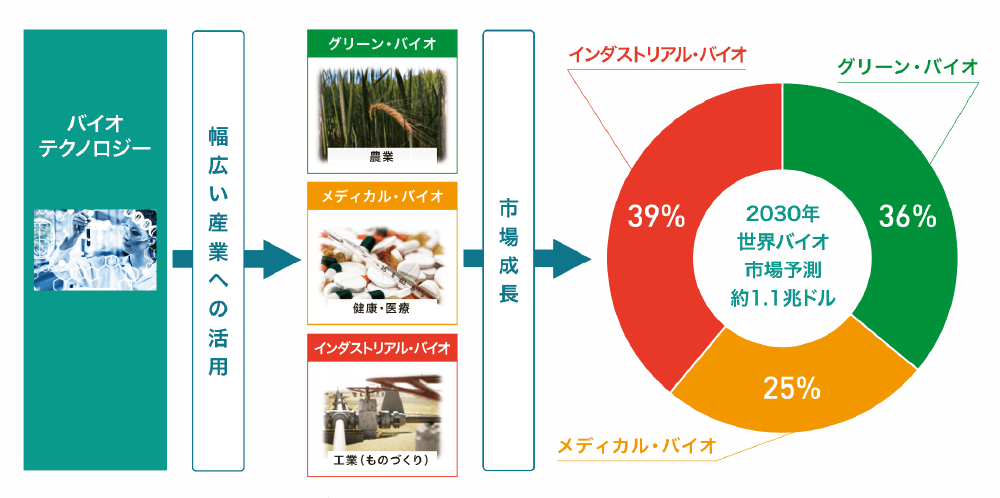 世界的バイオ市場は幅広い分野において約150兆円（OECD加盟国）の規模に成長すると予測