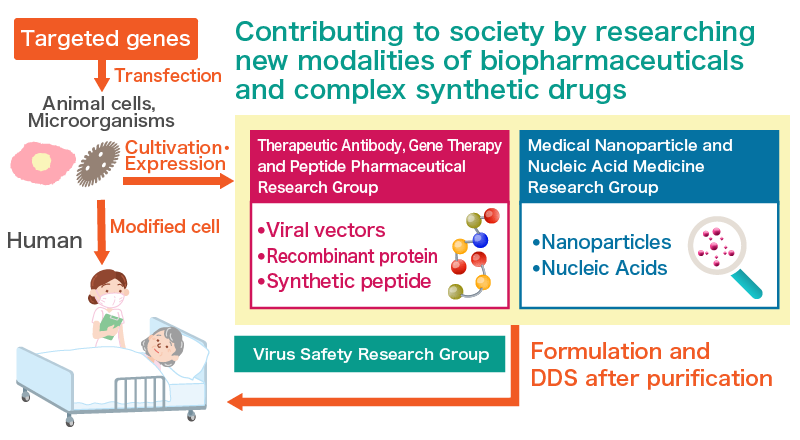 Contributing to Society by Researching New Modalities of Biopharmaceuticals and Complex Synthetic Drugs