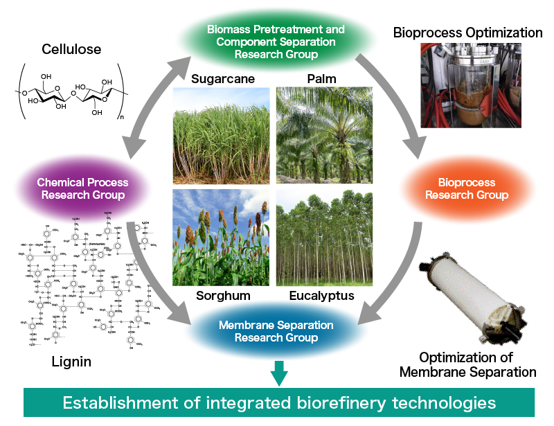 Establishment of Novel Bioprocesses Through the Integration of Chemical Processes and Bioprocesses